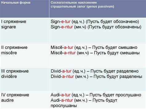 Особенности употребления глагола "класть"