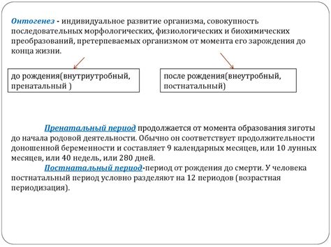 Особенности физиологии организма