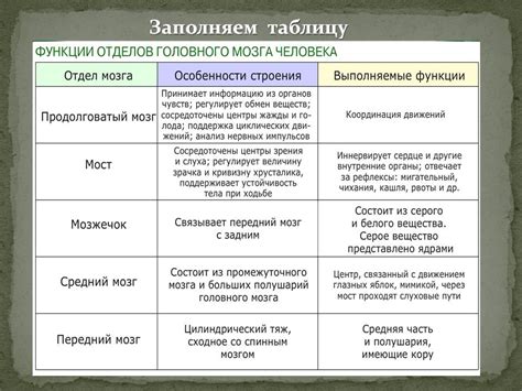 Особенности функционирования мозга зомби