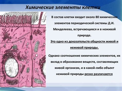 Особенности химического состава краски