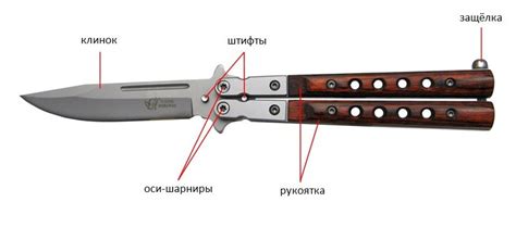 Особые трюки и советы при приручении элеи