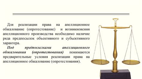 Оспаривание экспертизы в апелляционном порядке: возможно ли это?