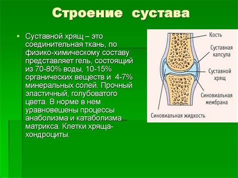 Остеоартроз и дегенеративные изменения суставов