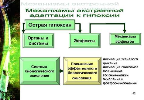 Острая гипоксия