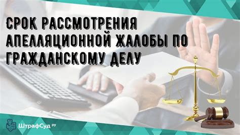 Осуществление процедуры апелляции