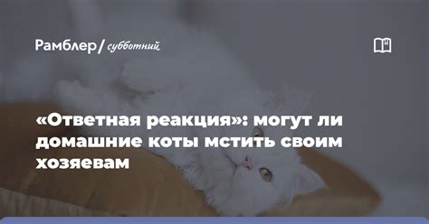 Ответная реакция на болезненные слова