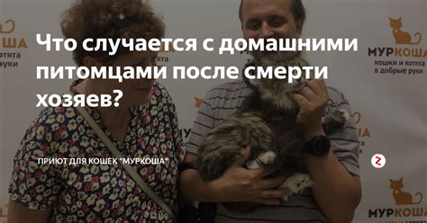 Ответственность перед домашними питомцами