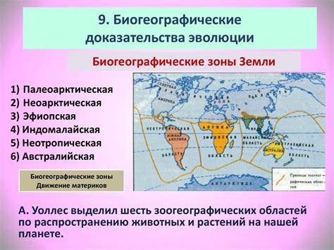 Отдельные биогеографические секторы