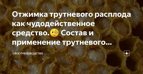 Отжимка: основные этапы и принцип работы