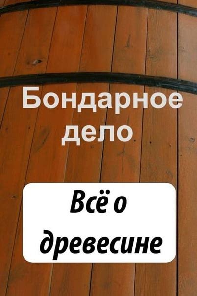 Отзывы и рекомендации: выбор на основе опыта других