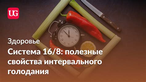 Отзывы о концепции интервального голодания 16 8