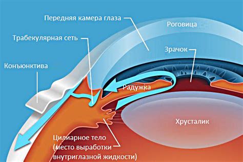 Отклонения в работе глаза