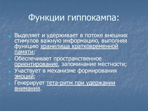 Отключение внешних стимулов: роль мозга