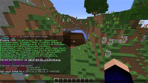 Отключение чата в Minecraft на сервере: пошаговая инструкция для совладельцев