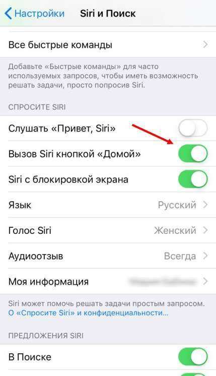 Отключение через интерфейс Siri