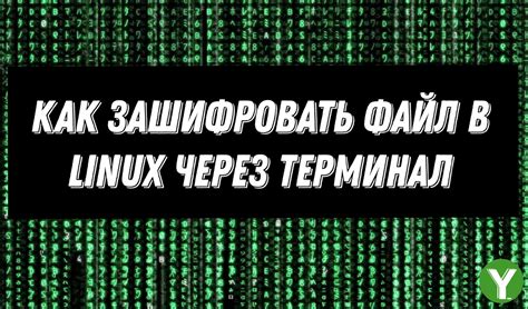 Откройте окно терминала