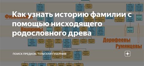 Откройте тайны своих предков с помощью родословного исследования