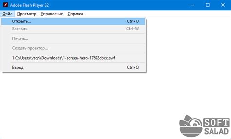 Откройте SWF файл в плеере