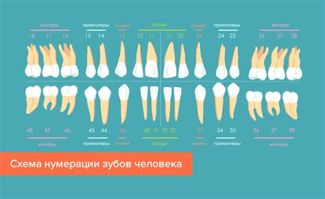 Открытие банки при помощи зубов