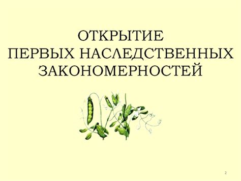 Открытие первых закономерностей