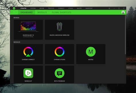 Открытие программы Razer Synapse