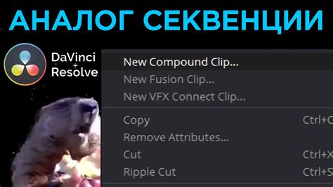 Открытие compound clip и удаление элементов внутри