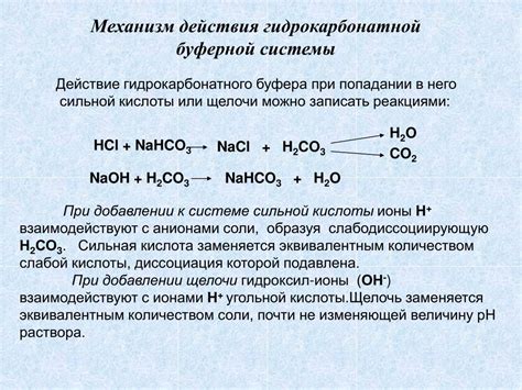 Открытость гидрокарбонатных буферных систем