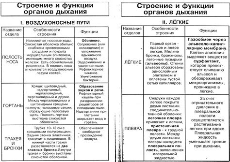 Открытые системы: строение и особенности