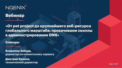 Отличие локального DNS от глобального