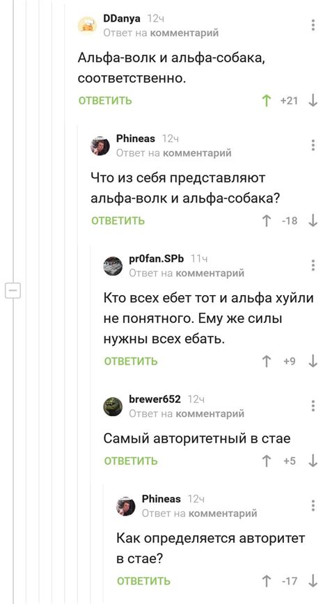 Отличительные особенности вожака стаи