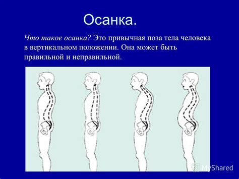 Отличия давления в вертикальном и горизонтальном положении тела