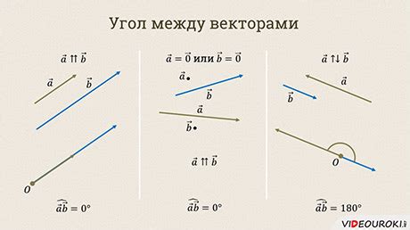 Отличия между векторами сонаправленными и коллинеарными