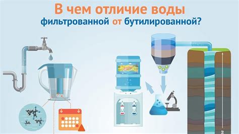 Отличия между проточной и бутилированной водой