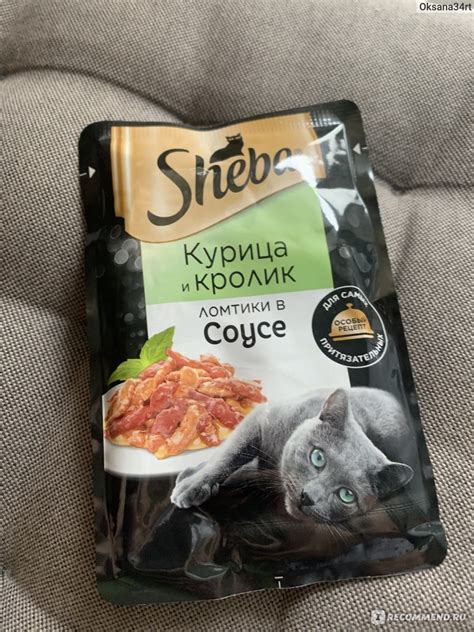 Отличный аппетит кошек