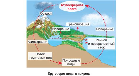 Отметить основные контуры водоворота: создать полотно