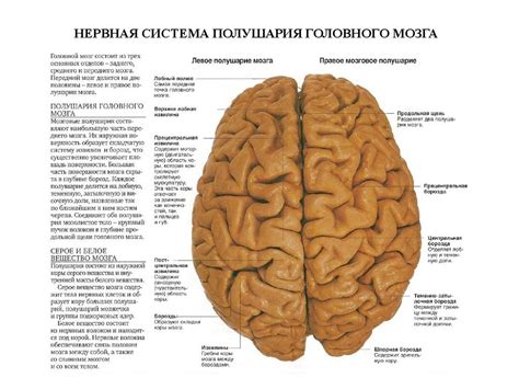 Отметьте основные детали и элементы