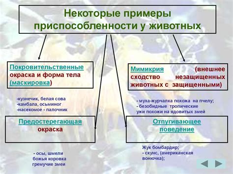 Относительность приспособленности и эволюции