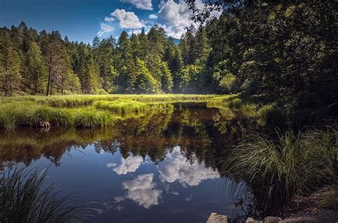 Отображение воды