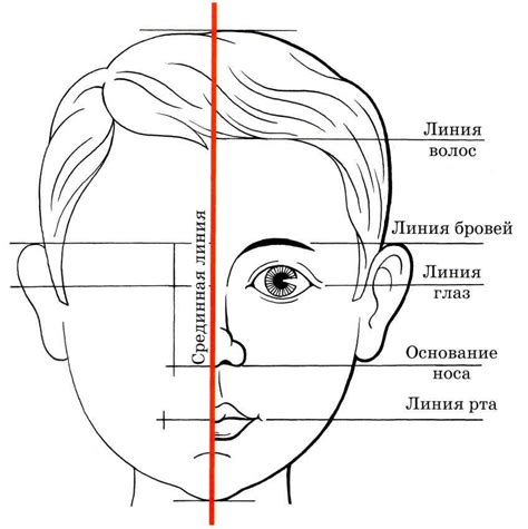 Отображение глаз и носа