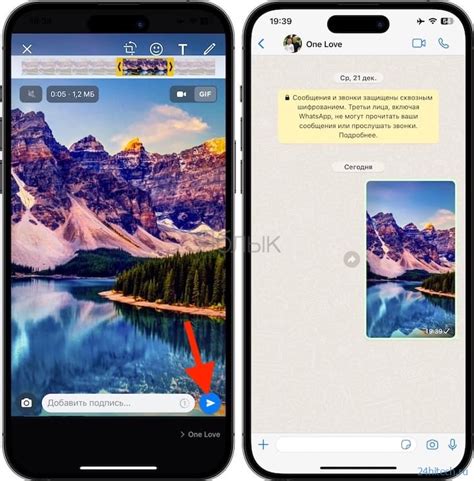 Отправка гифки в чат на WhatsApp на iPhone