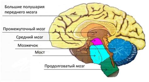 Отрисовка головной части Альтрона