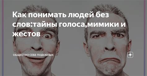 Отсутствие жестов и мимики