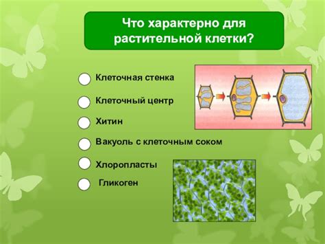 Отсутствие клеточной структуры