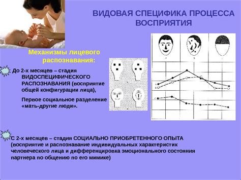 Отсутствие лицевого распознавания