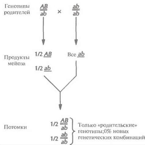 Отсутствие необходимой комбинации генов