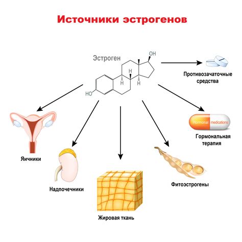 Отсутствие продукции эстрогена у мужчины