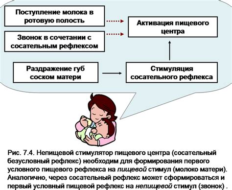 Отсутствие рефлекса сосания