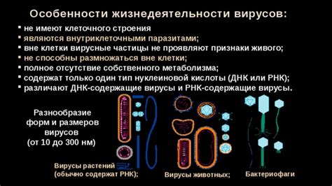 Отсутствие собственного метаболизма