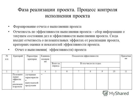 Отчетность о выполнении проекта