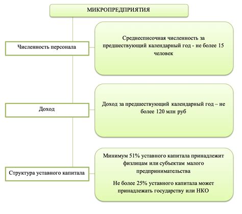 Отчет МП Микро Натура в 1С: основные принципы работы